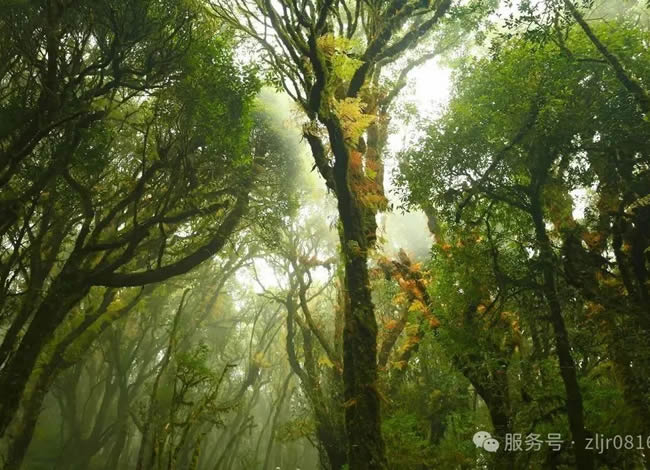&#21326;&#20307;&#24179;&#21488;&#45;&#21326;&#20307;&#40;&#20013;&#22269;&#41;
